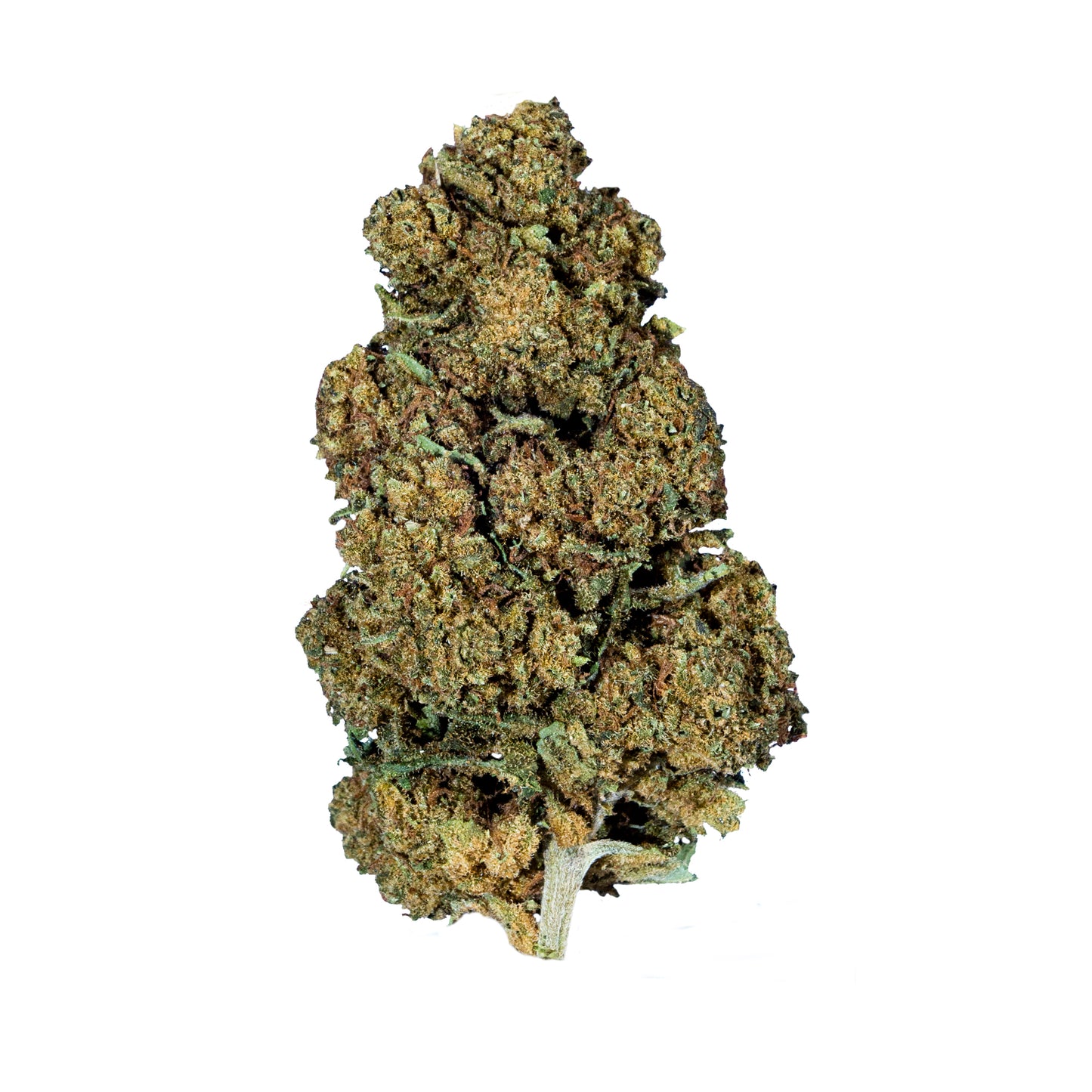 amnesia-lemon-fleur-fleure-cbd-provence-chanvre-nature-var-bio-local-chanvre-agriculture-var-hyeres-toulon-bien-etre-soin-sommeil-peau-douleur-endometriose-arthrose