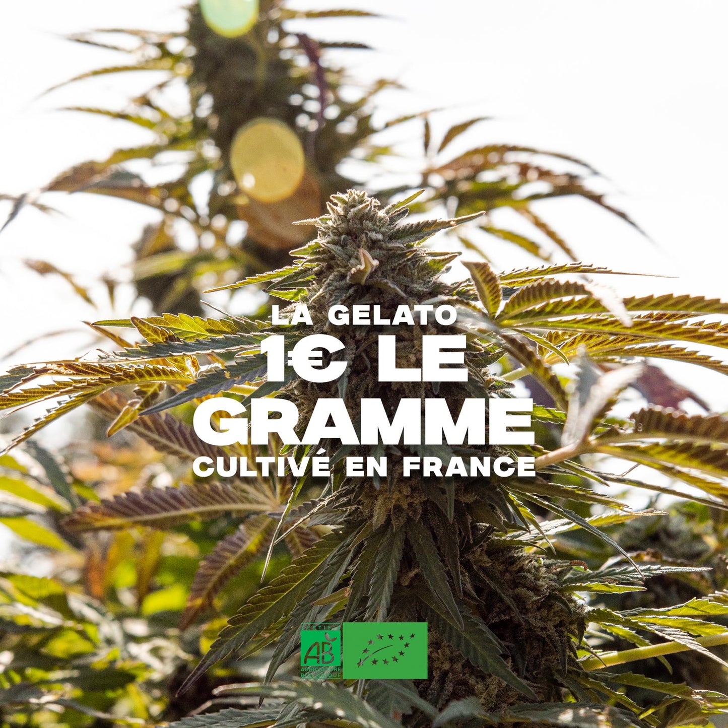 test produit vide