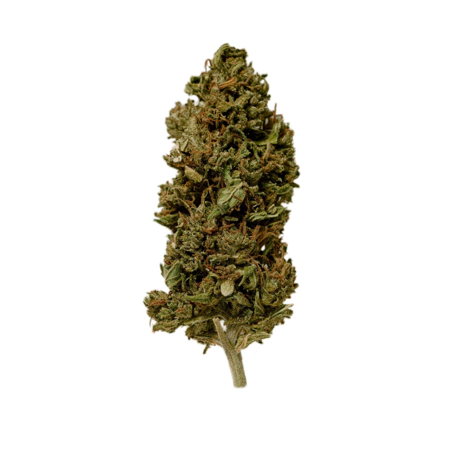 PURPLEMAGIC-fleur-fleure-cbd-provence-chanvre-nature-var-bio-local-chanvre-agriculture-var-hyeres-toulon-bien-etre-soin-sommeil-peau-douleur-endometriose-arthrose-amnesia