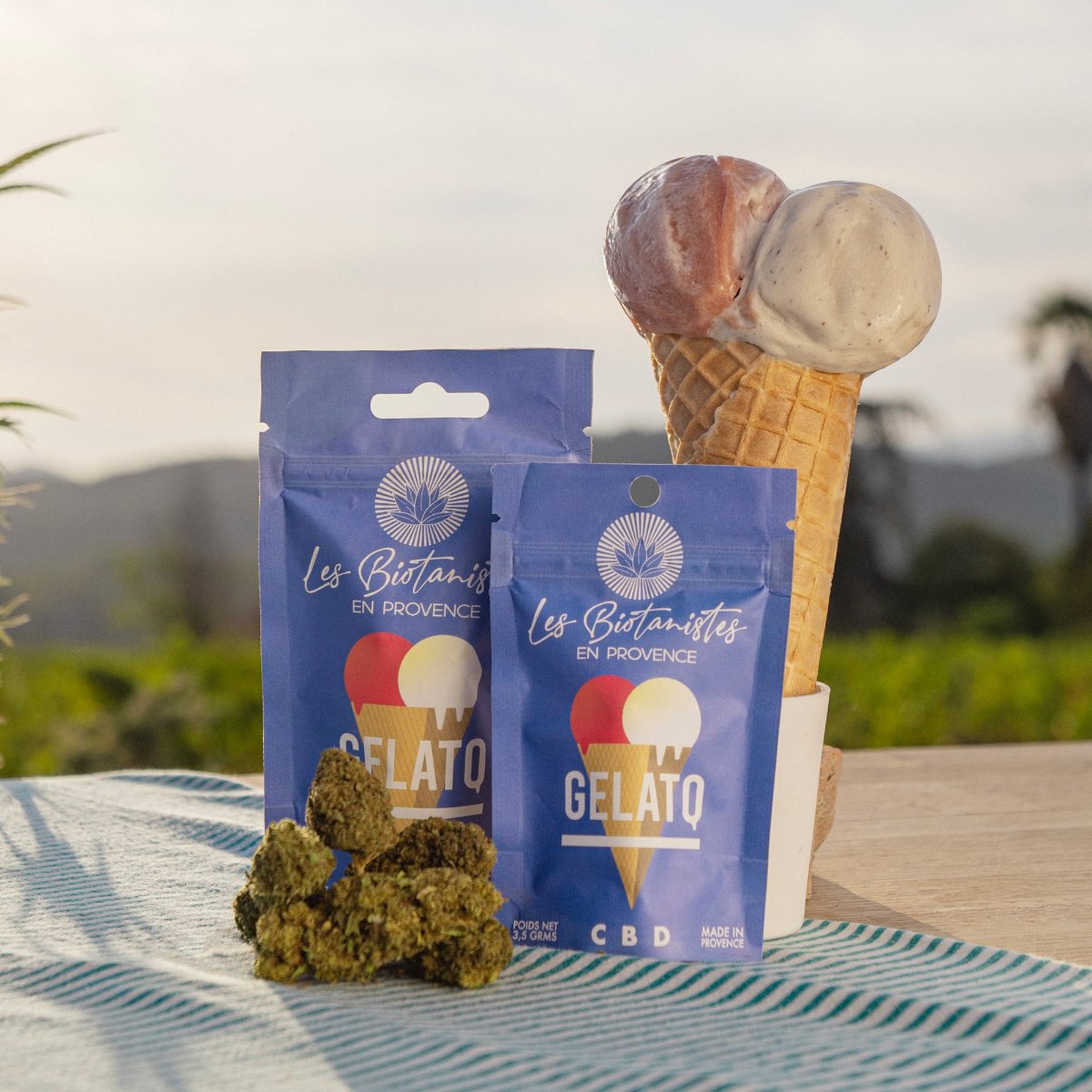 Gelato-fleur-fleure-cbd-provence-chanvre-nature-var-bio-local-chanvre-agriculture-var-hyeres-toulon-bien-etre-soin-sommeil-peau-douleur-endometriose-arthrose