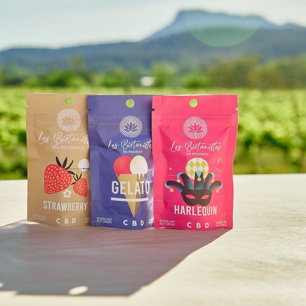 strawberry-gelato-harlequin-fleur-fleure-cbd-provence-chanvre-nature-var-bio-local-chanvre-agriculture-var-hyeres-toulon-bien-etre-soin-sommeil-peau-douleur-endometriose-arthrose-static-hash