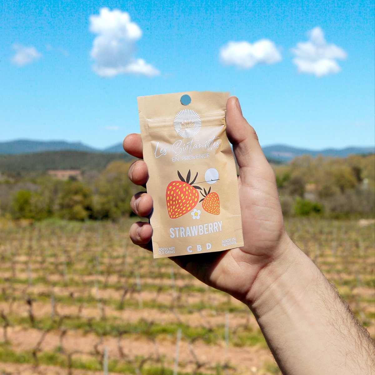 Strawberry-fleur-fleure-cbd-provence-chanvre-nature-var-bio-local-chanvre-agriculture-var-hyeres-toulon-bien-etre-soin-sommeil-peau-douleur-endometriose-arthrose-amnesia